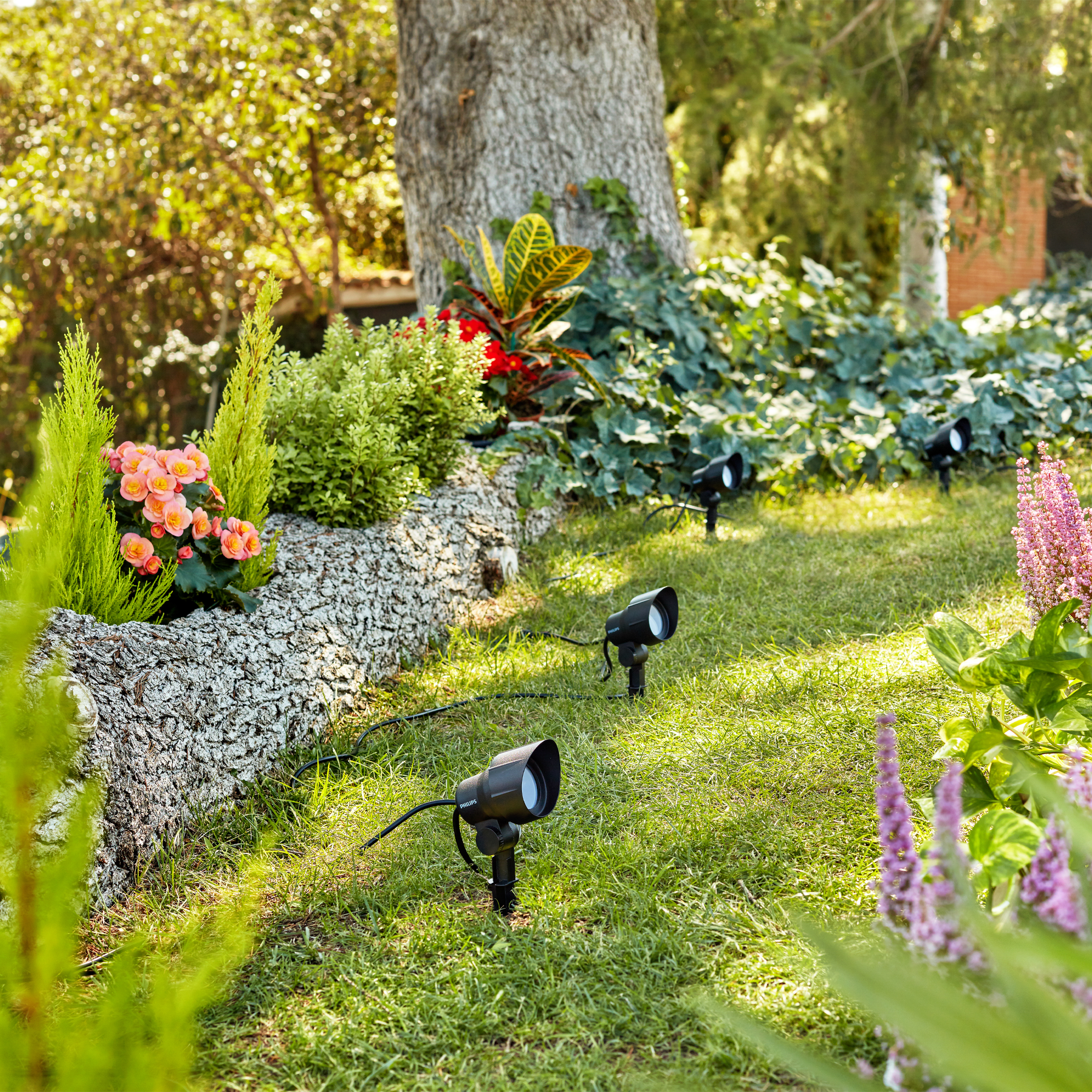 Vaš vrt je vaša noćna galerija