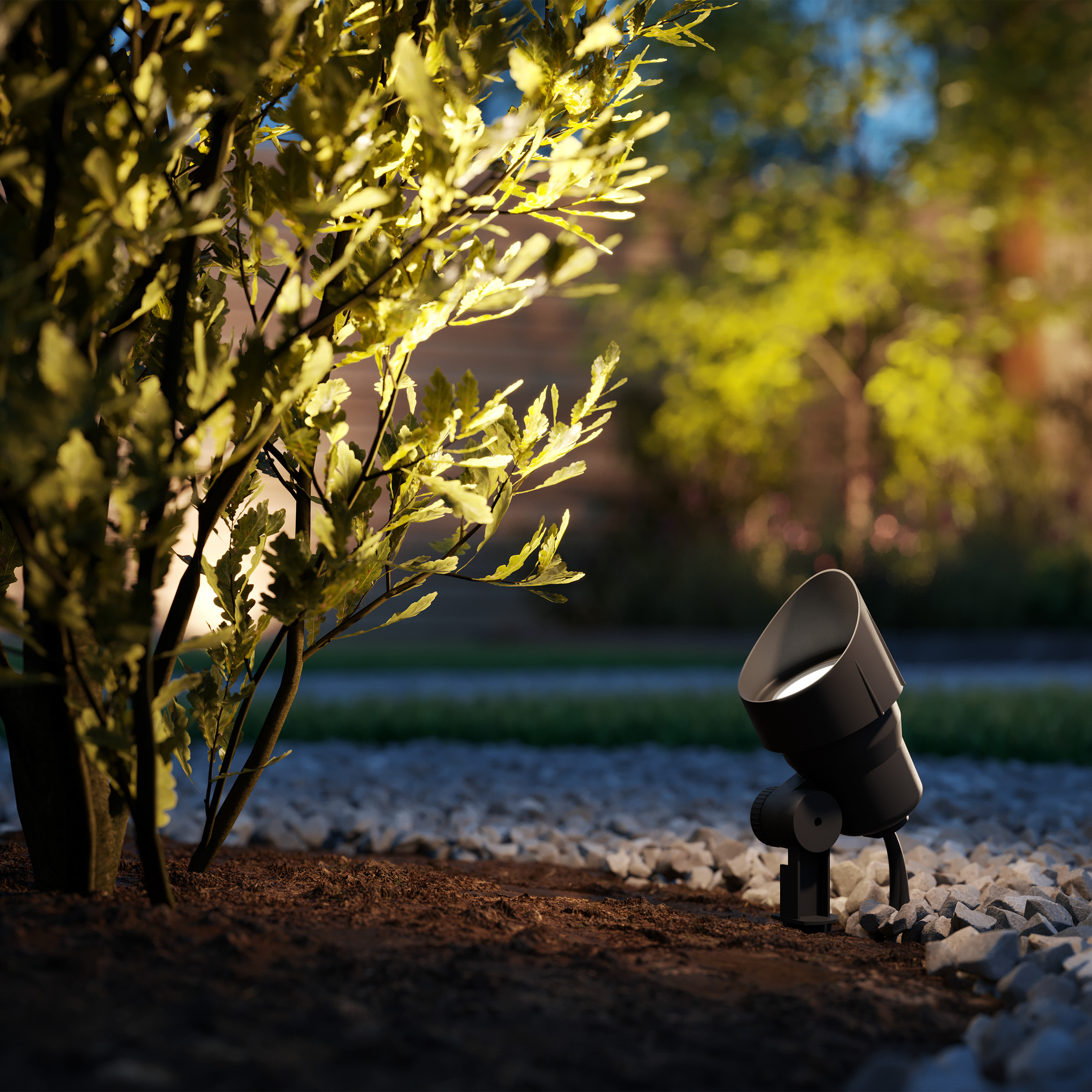 Ukrasne trave i nisko grmlje