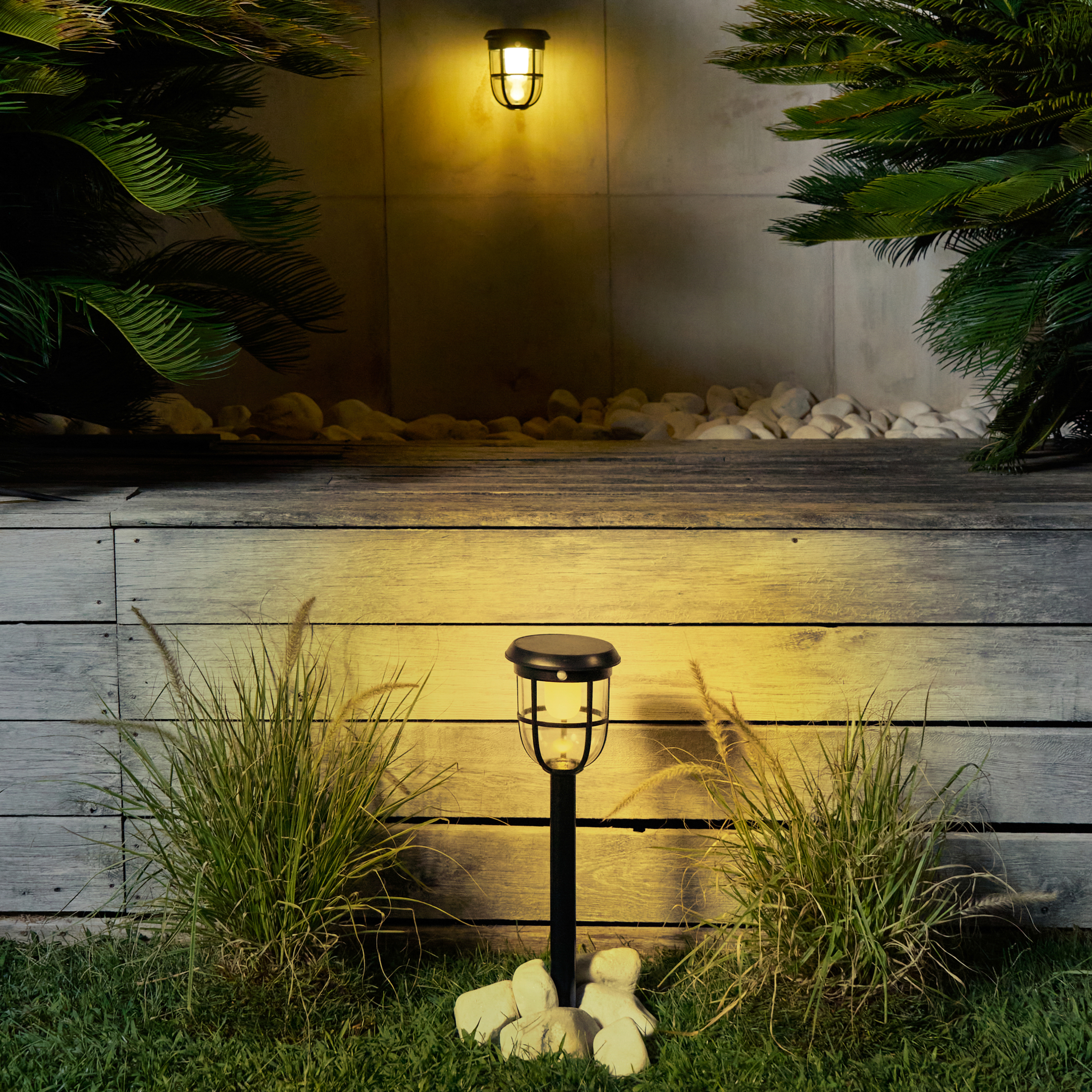 Ukrasne trave i nisko grmlje