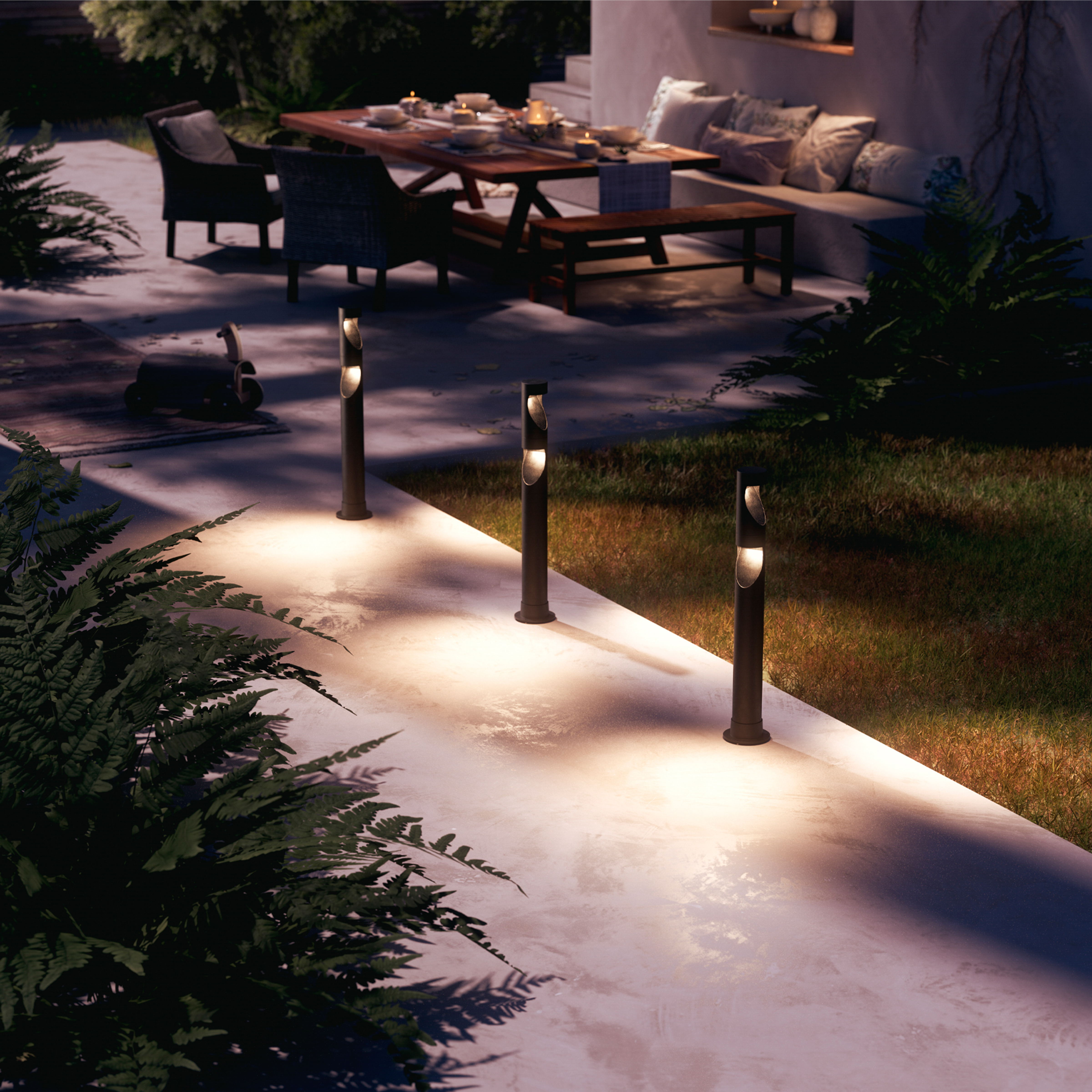 Vodič za rasvjetu maslina, palmi i ukrasnog bilja