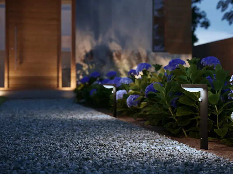 Kako osvijetliti vrt: Vodič za rasvjetu maslina, palmi i ukrasnog bilja (2026)