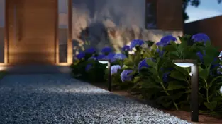 Kako osvijetliti vrt: Vodič za rasvjetu maslina, palmi i ukrasnog bilja (2026)