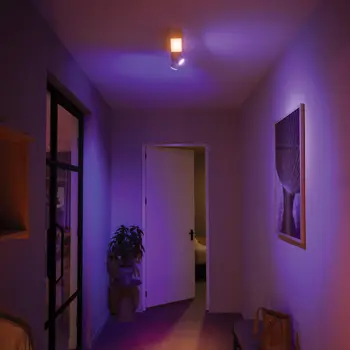 centris-philips-hue-ugradbeni-reflektor-bijeli-2-spot-79162-02180152.webp