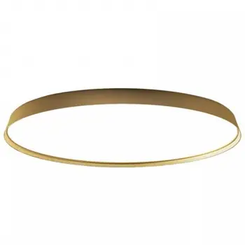 COMPENDIUM LED ZIDNA/STROPNA SVJETILJKA D81P2 3000K MESING BEZ DRIVERA