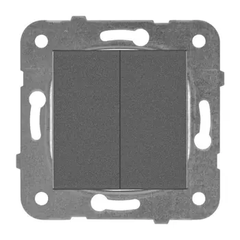 DVOSTRUKI IZMJENIČNI PREKIDAČ ANTRACIT