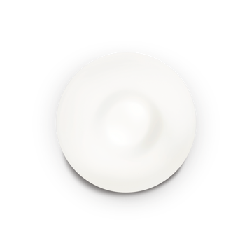 GLORY STROPNA SVJETILJKA PL2 D40 E27