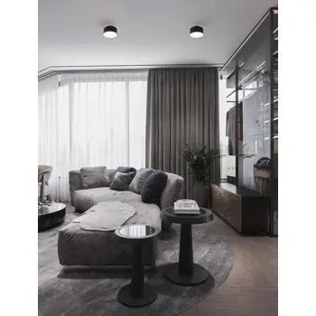 OZEN STROPNA SVJETILJKA LED/3000K/24W/1393Lm/CRNA