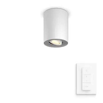 philips-pillar-hue-nadgradna-svjetiljka-bijela-1x42w-78534-02027024.webp