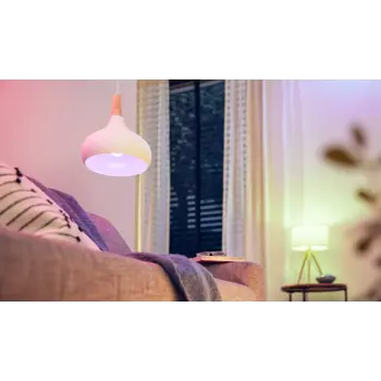 philips-smart-led-zarulja-100w-a60-e27-rgb-bijela-1521-lm-69584-01019110.webp