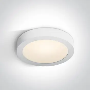 PLAFONJERA BIJELA 30W CCT IP40 230V
