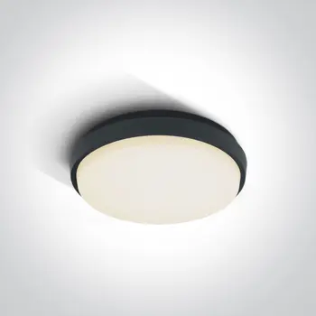 PLAFONJERA LED/20W/1600lm/3000K/fi:238mm/230V IP54 ANTRACIT