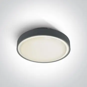 PLAFONJERA LED/30W/3000K/1800lm/240V IP65 ANTRACIT