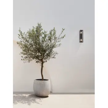 REGINA VANJSKA ZIDNA SVJETILJKA E27 2X12W/IP65/ANTRACIT