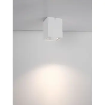 RENDE NADGRADNA SVJETILJKA BIJELA GU10 1x10 Watt IP20 AC220-240 Volt