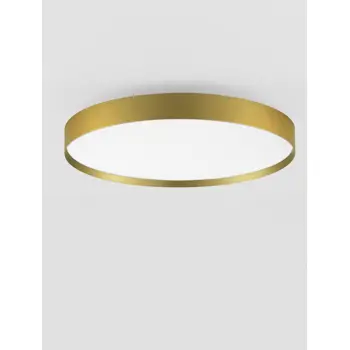 ROI PLAFONJERA/ZIDNA LAMPA LED /2700-3000K/48W/3724Lm/BRUSHED
 GOLD