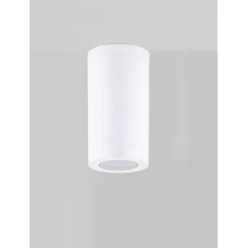 SPOT VANJSKI STROPNI REFLEKTOR 1×GU10/230V IP54 BIJELA