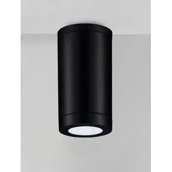 SPOT VANJSKI STROPNI REFLEKTOR GU10 1x10 Watt 
IP54 CRNA