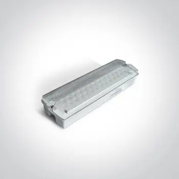 STROPNA I ZIDNA LED PANIK SVJETILJKA 4W IP65 230V 6000K
