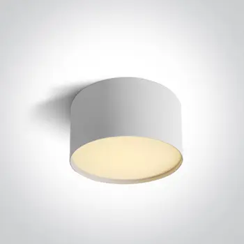 STROPNA LED SVJETILJKA 14W CCT IP20 BIJELA