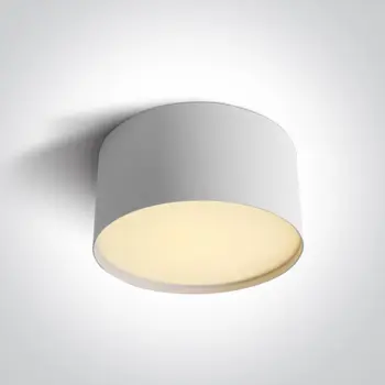 STROPNA SVJETILJKA 20W CCT IP20 BIJELA