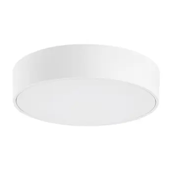 TARTU VANJSKA STROPNA SVJETILJKA  LED 18/MAT BIJELA/IP44/1800lm