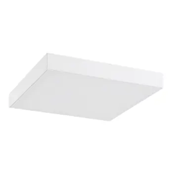 TARTU VANJSKA STROPNA SVJETILJKA  LED 24/MAT BIJELA/IP44/2500lm