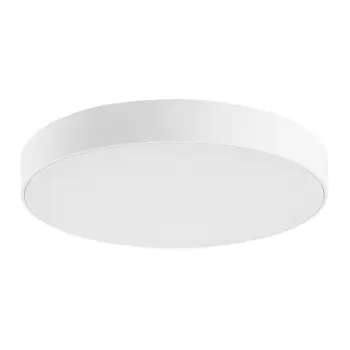 TARTU VANJSKA STROPNA SVJETILJKA  LED 24/MAT BIJELA/IP44/2500lm