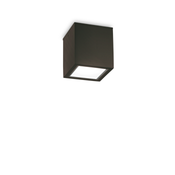TECHO STROPNA LAMPA PL1 MALA CRNA GU10 IP54