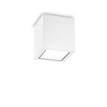 TECHO STROPNA LAMPA PL1 VELIKA BIJELA GU10 IP54