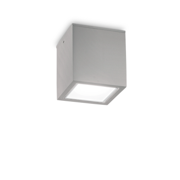 TECHO STROPNA SVJETILJKA PL1 VELIKA SIVA GU10 IP54