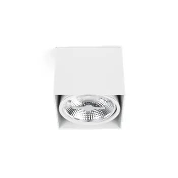 TECTO WHITE CEILING LAMP 1 X AR111 50W