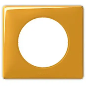 UKRASNI OKVIR 1-STRUKI MANDARINA