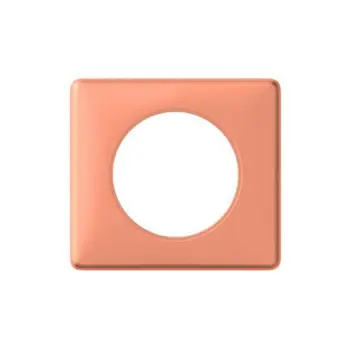 UKRASNI OKVIR 1-STRUKI SATEN