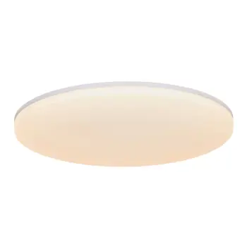 VIC 29 2100LM 3000K PLAFONJERA BIJELA LED IP21