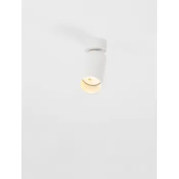 ZELOS STROPNI REFLEKTOR 1X10W GU10 IP20 BIJELA