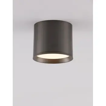 ZIAZA STROPNI REFLEKTOR SREBRNI LED 10W 505lm 3000K IP20