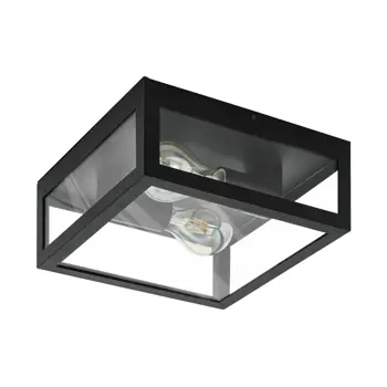 STROPNA LAMPA 2xE27 IP44, CRNA/ČELIK/STAKLO AMEZOLA