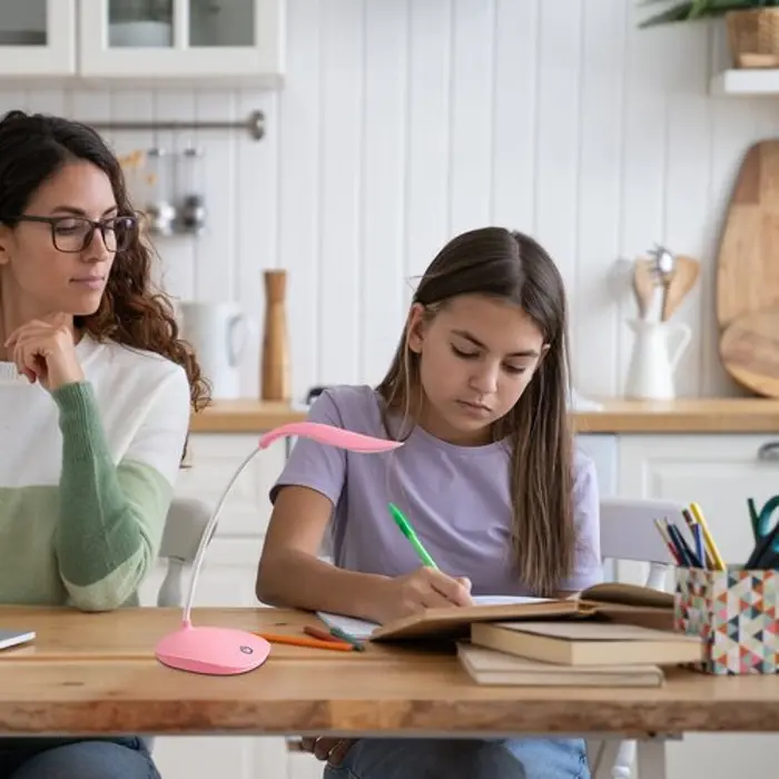 BEDI STOLNA SVJETILJKA LED 2W/RUĹĽIÄASTA/IP20/165lm