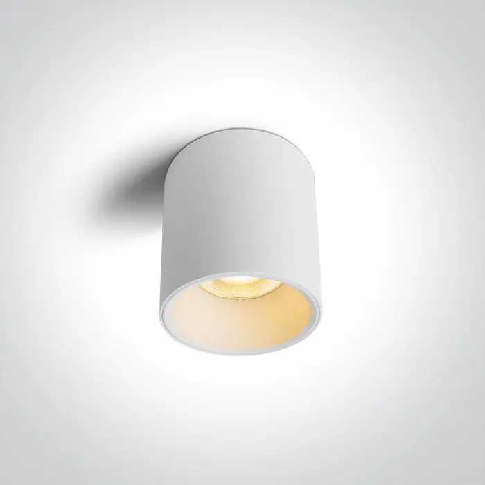 bijela-stropna-led-svjetiljka-12w-3000k-ip65-230v-1200lm-dar-62664-02222706.webp