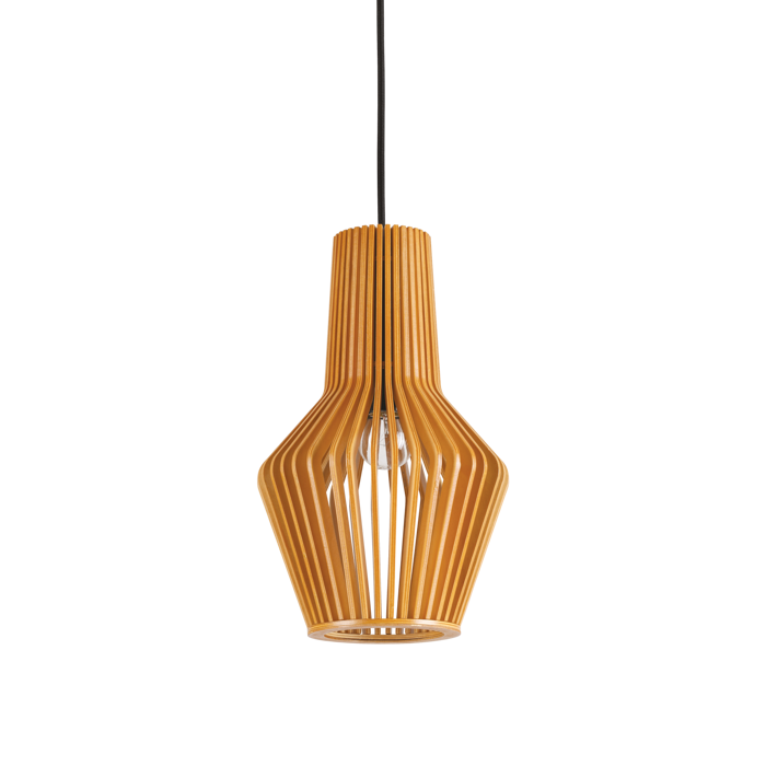 CITRUS-1 VISILICA SP1 E27