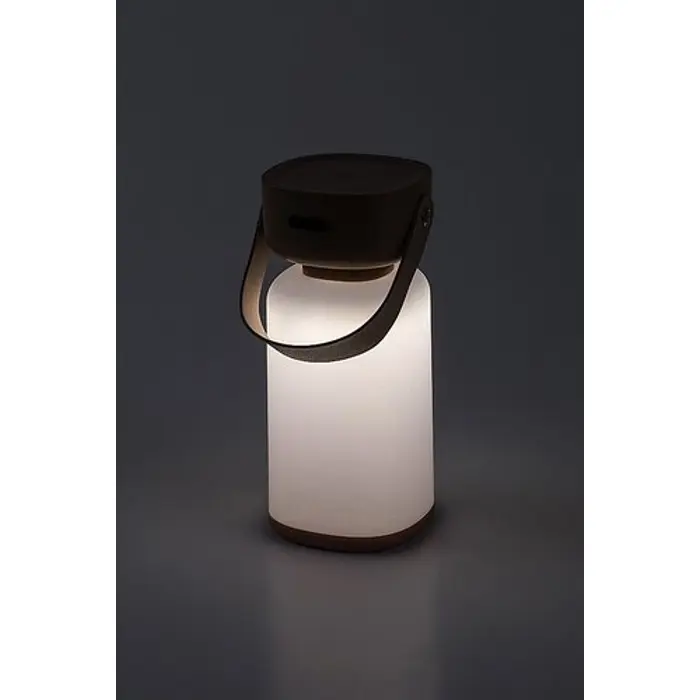 FUNES Vanjske DEKORATIVNA SVJETILJKA LED 3W/BRAUN/IP44/120lm