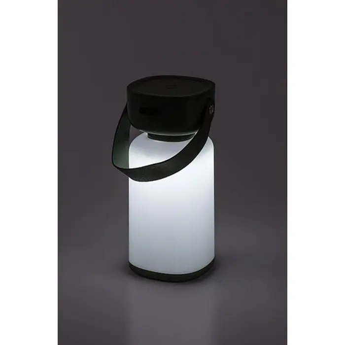 FUNES Vanjske DEKORATIVNA SVJETILJKA LED 3W/ZELENA/IP44/120lm