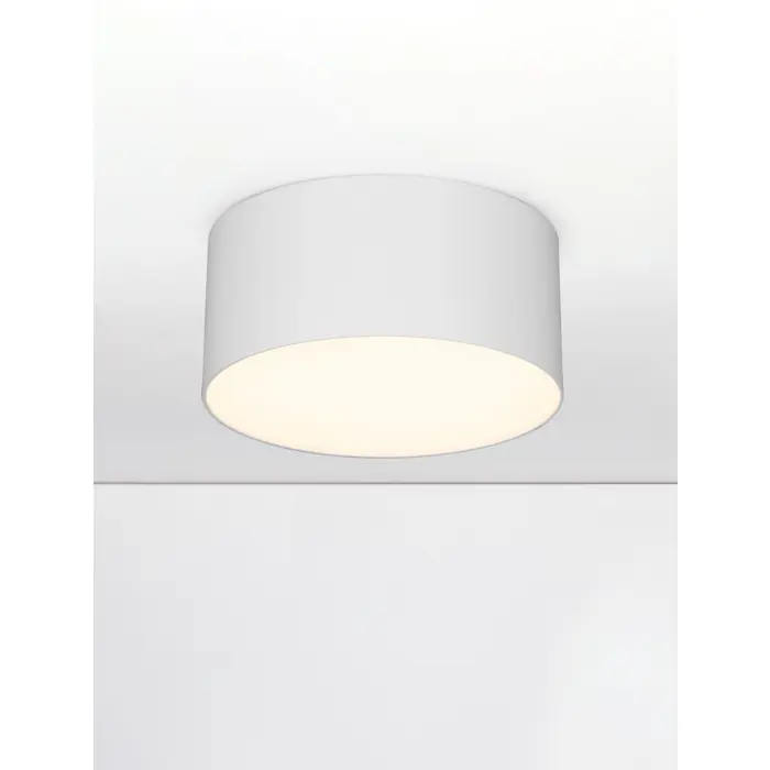 LULDO STROPNA SVJETILJKA LED/3000K/16W/976Lm/BIJELA