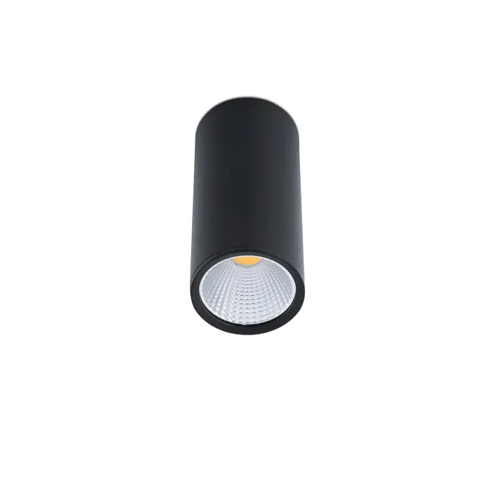 rel-black-ceiling-lamp-led-15w-60-2700k-56116-02133052.webp