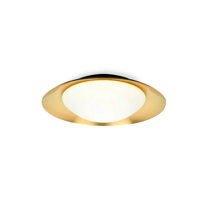 side-led-black-and-gold-ceiling-lamp-15w-89929-02124180.webp
