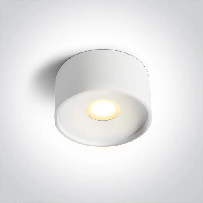 stropna-led-svjetiljka-bijela-12w-cct-ip20-230v-960lm-29119-02220921.webp