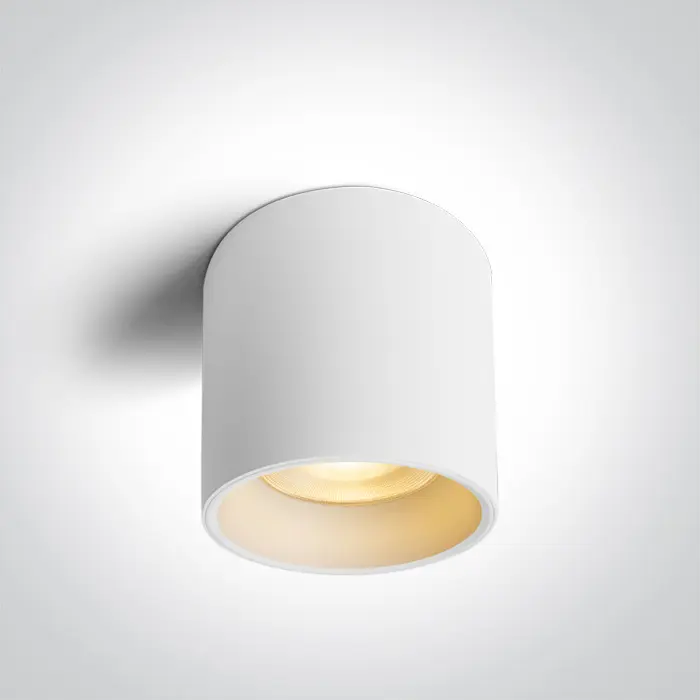 stropna-led-svjetiljka-bijela-25w-cct-ip65-230v-2500lm-dark--18696-02222710.webp