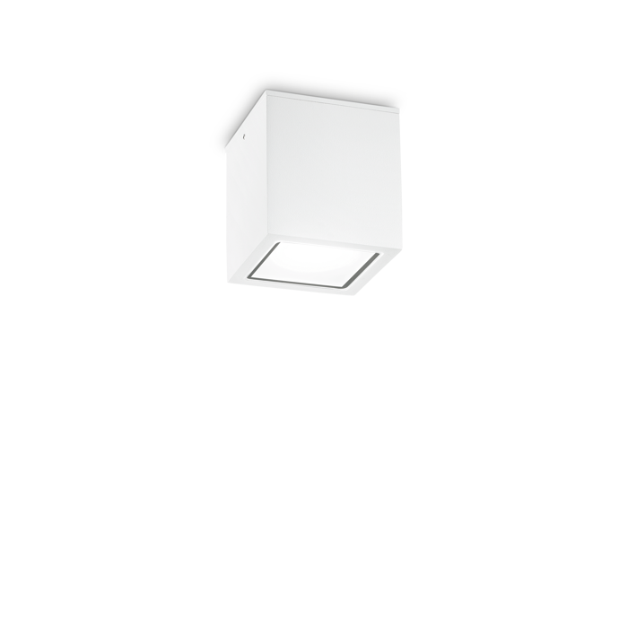 TECHO STROPNA LAMPA PL1 MALA BIJELA GU10 IP54