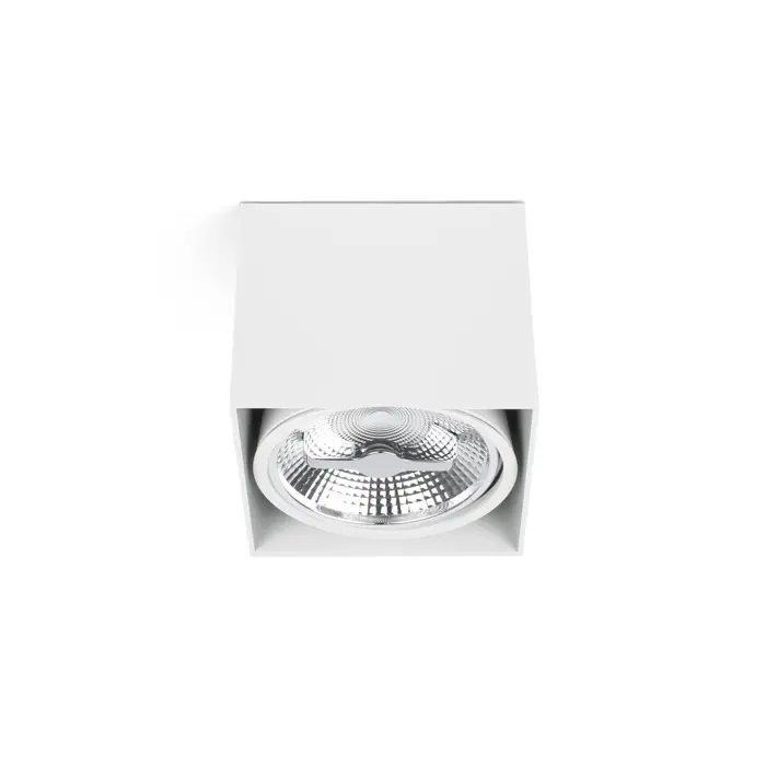 tecto-white-ceiling-lamp-1-x-ar111-50w-43600-02132961.webp