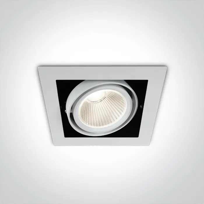 UGRADBENA SVJETILJKA COB LED 30W CW 38deg 230V BIJELA